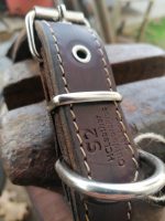 Handcrafted Leather Dog Collar ‘’Venantor’’