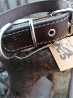Handcrafted Leather Dog Collar ‘’Venantor’’ - Image 8